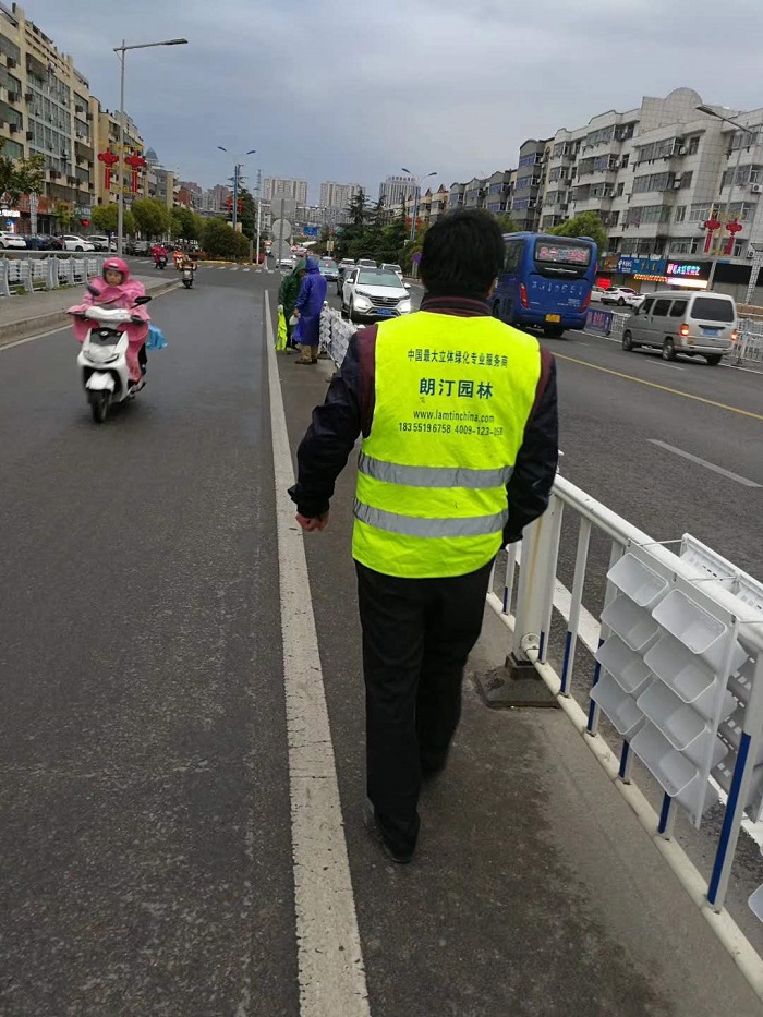 江蘇新阜寧大橋護欄綠化工程現場施工圖