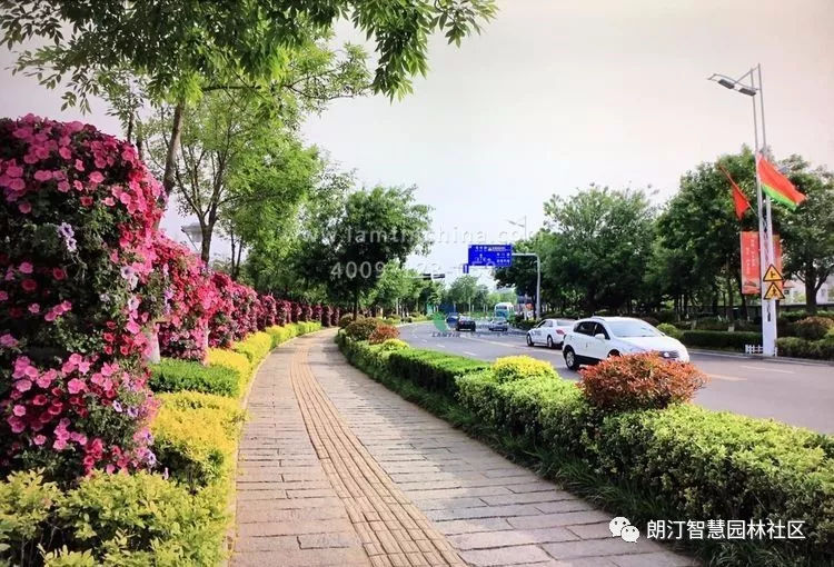 上合組織青島峰會