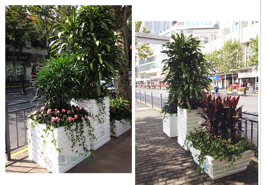 方形漏斗式藝術花箱