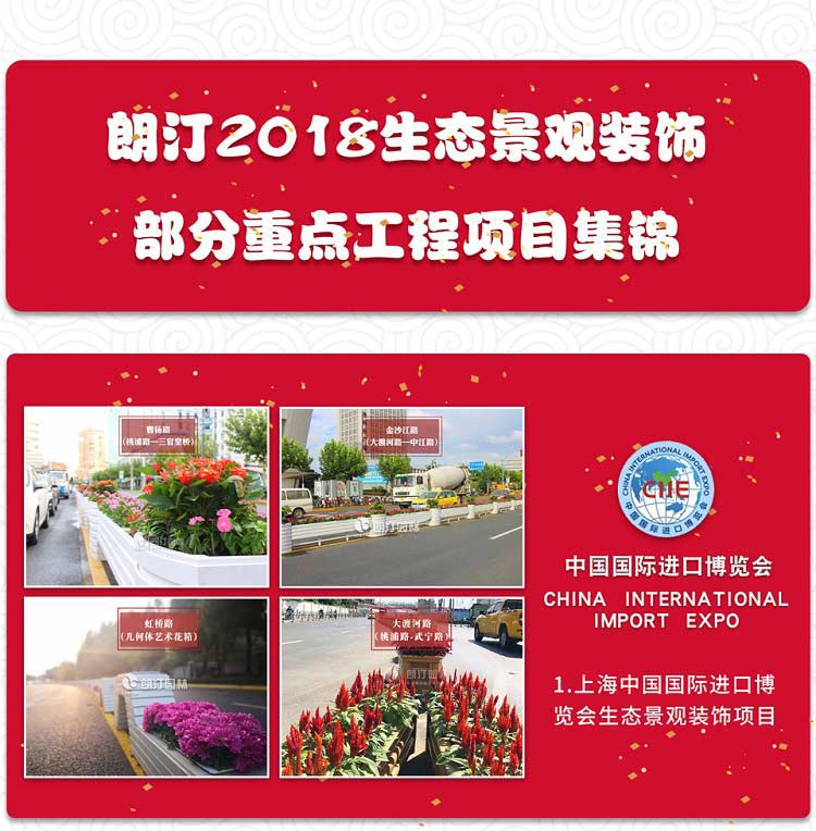 中國國際進口博覽會生態景觀項目