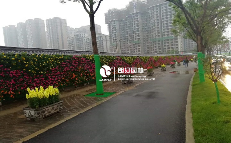 朗汀園林植物墻專用花盆打造西安城市“生態體”