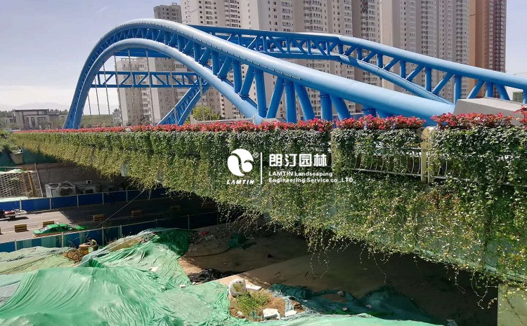 朗汀園林植物墻專用花盆打造西安城市“生態體”