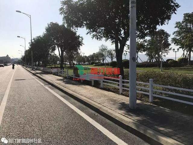 臺階式藝術花箱