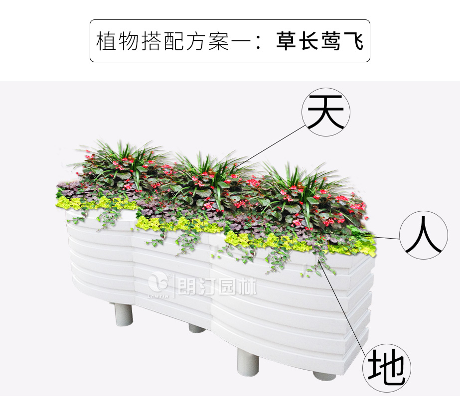 波浪藝術花箱植物搭配方案 草長鶯飛