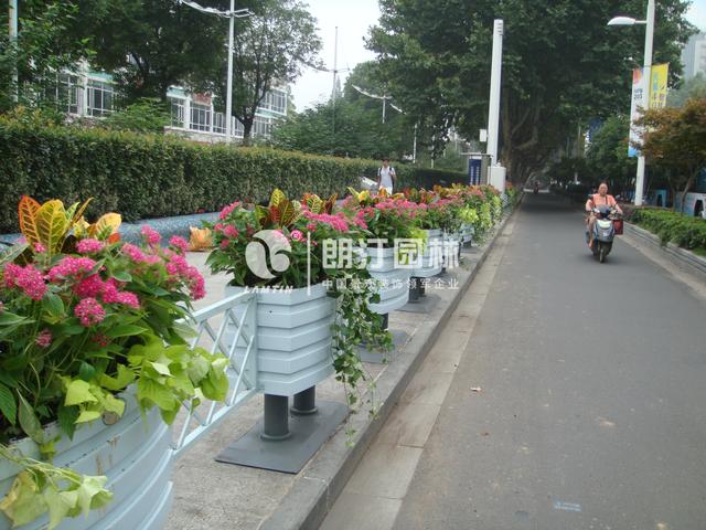 為南京點贊！擦亮生態之城名片！