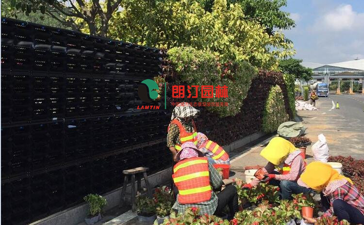 廈門(mén)金磚會(huì)議植物墻案例