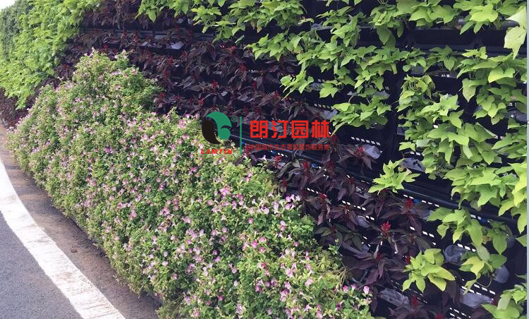 廈門(mén)金磚會(huì)議植物墻案例