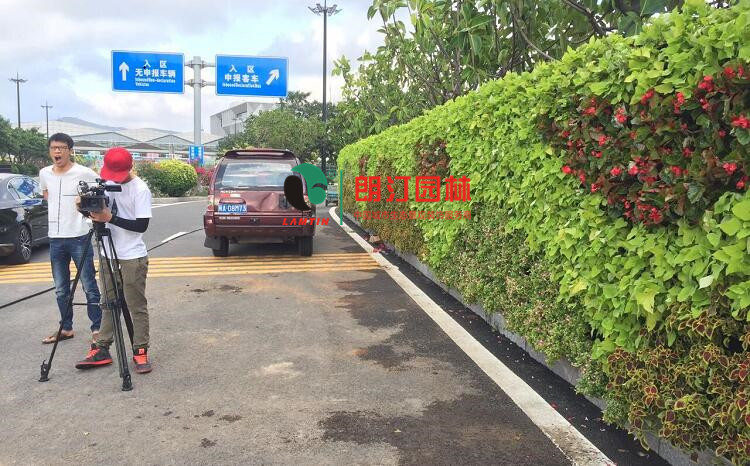 廈門(mén)金磚會(huì)議植物墻案例