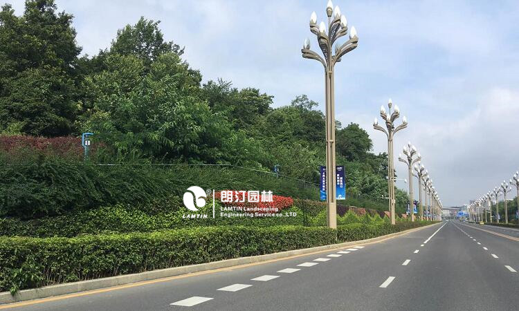 貴州貴陽垂直綠化植物墻工程案例