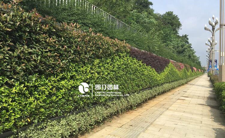 3貴州貴陽垂直綠化植物墻工程案例