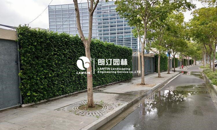 上海徐匯濱江植物墻迎接智能峰會