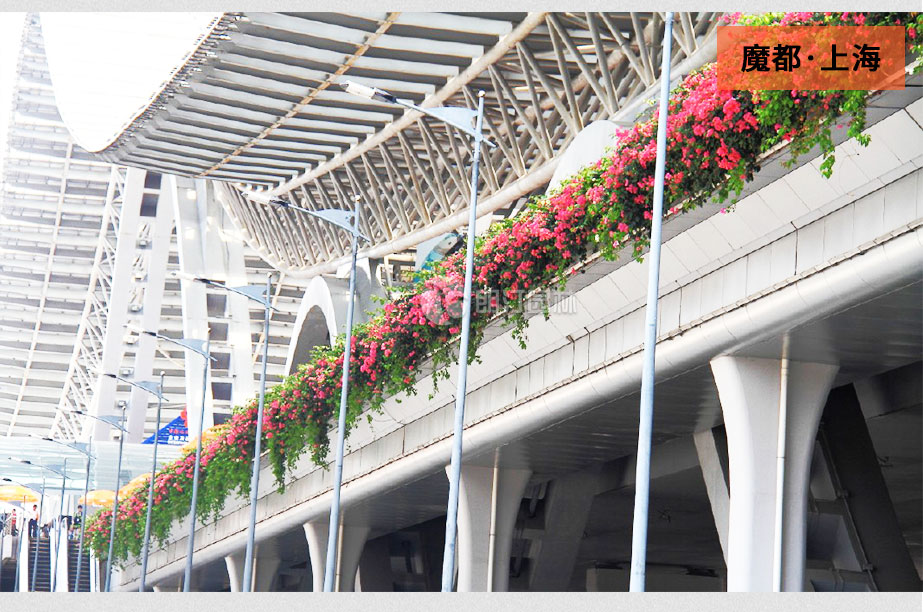 高架橋 花盆