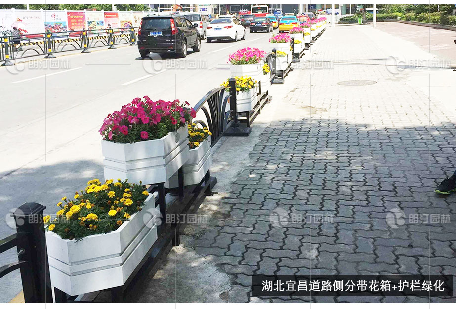 湖北宜昌道路側分帶護欄花箱