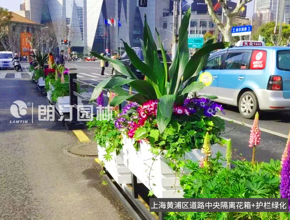 上海黃浦區道路隔離綠化