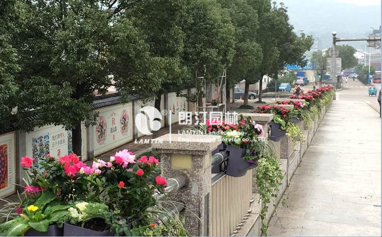 道路隔離護欄綠化案例