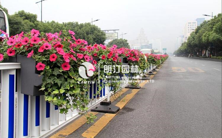 鞍式花盆使用現場圖