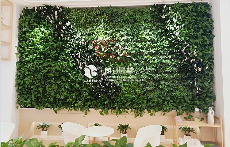 室內(nèi)垂直綠化景觀植物墻