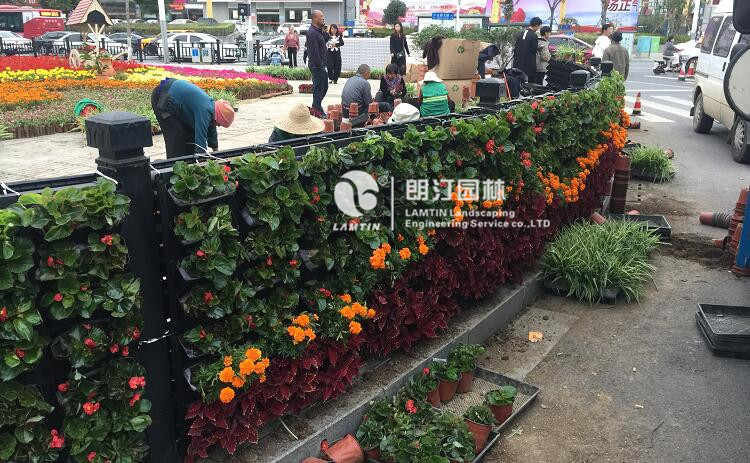 植物墻效果呈現