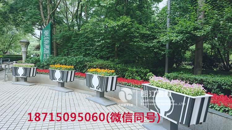 武夷山列寧公園景觀花箱圖片