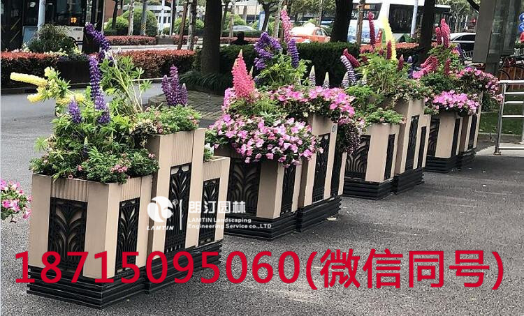 上海人民廣場綠化花箱圖片
