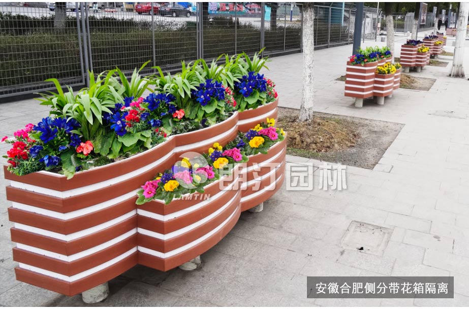 合肥會展中心人行道景觀花箱