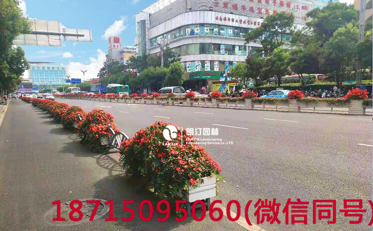 花箱提升城市環境品質