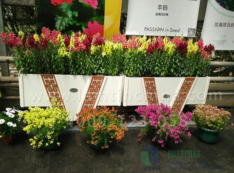 花箱廠家