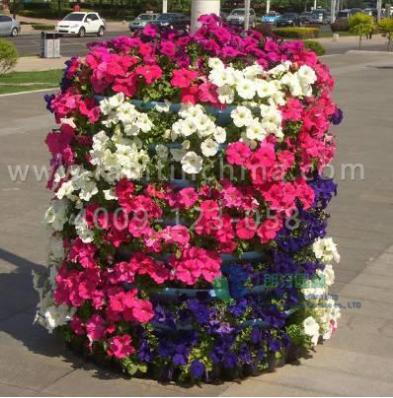 花柱組合花盆