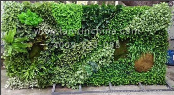 垂直綠化種植盒