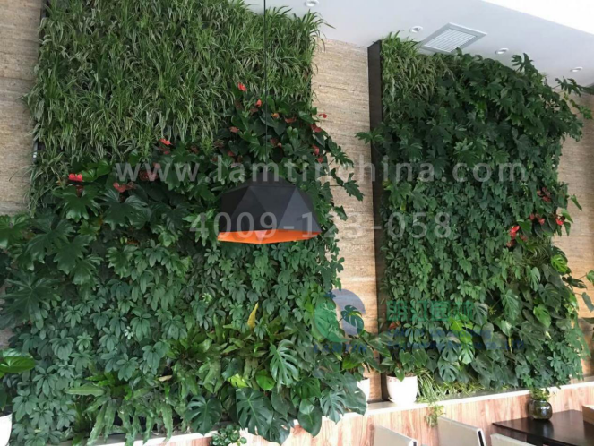 植物墻