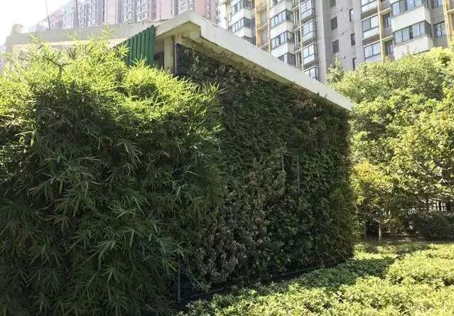 立體綠化