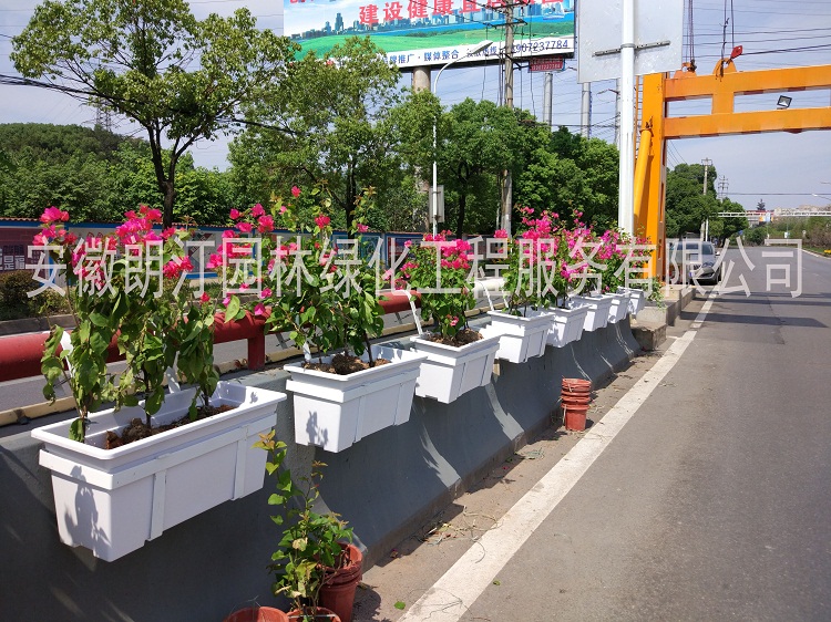 高架橋蓄水花盆