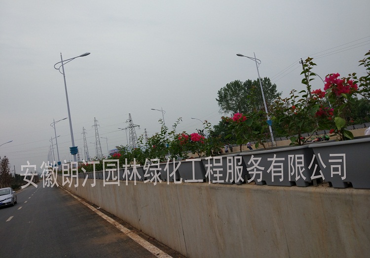 高架橋蓄水花盆